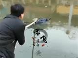 突发 | 龙港一电动车连人坠河，被路人获救