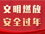 收藏！2023龙港烟花爆竹销售点公布！安全须知→