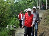 龙港镇开展大规模禁种铲毒专项整治行动