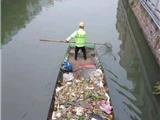 关于近期龙港市河道出现大量鱼类死亡的情况说明