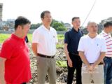陈显宏督查下埠村城中村改造工作 