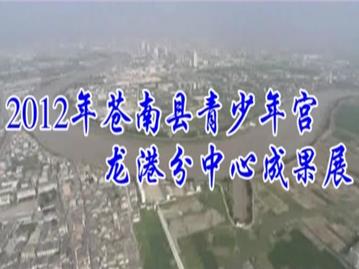 龙港青少年宫2012年的成果展 