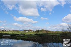 龙港网3月31日讯：碧海蓝天下，春风徐徐里，花红柳绿，草长莺飞。亲们，趁着明媚阳光，让我们和春天来个约会吧！背上行囊，踏春去。