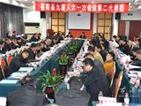 龙港代表团认真审议政府工作报告：抢抓发展机遇 再创龙港辉煌