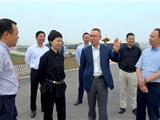 娄绍光来龙港督导“三强两促”及美丽田园创建工作