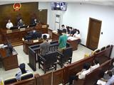 软件开发要小心！龙港法院公开宣判一起帮助信息网络犯罪活动案