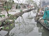 新闻追踪：新美洲河道污染整治初见成效
