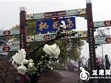 龙港影迷走进桃花岛