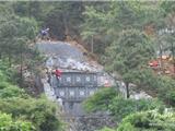 龙港镇舥艚办事处积极整治青山白化现象