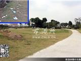 文明细节：九龙湾公园垃圾桶分布不合理