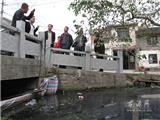 后续报道："一菜农黑臭河中洗菜 称自己不敢吃"  现已开始整治河道！