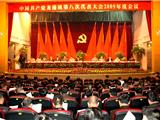 龙港镇第八次党代会09年度会议胜利召开