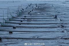海城的滩涂，本地老渔民在滩涂地里养着蛏子，特别有趣的是他们的“小舟”，踩在上面像滑板一样，脚一蹬就滑的老远。来源：新浪微博 唱一首梦的河流