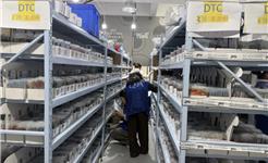 龙港1～2月规上工业增加值增速居温州第一