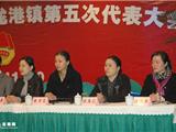中国共产主义青年团龙港镇第五次代表大会10