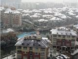 高清图文：2012首场大雪来袭龙港