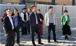 市人大代表来龙港镇开展视察活动