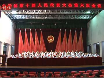 龙港镇第十届人民代表大会第六次会议二次全体会议