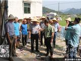 丁振俊督查农村生活污水治理工程