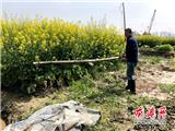 东海民防开展集中清理捕鸟网行动