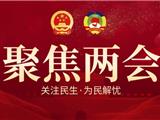 龙港市第一届人民代表大会第二次会议各项决议