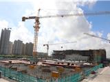 龙港市政协开展印艺小镇建设视察活动