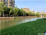 陈为来巡河：治理河道不停歇   守好这条“责任河”