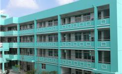 再见！龙港4所学校停招