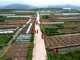 龙港新城：深入田地，专项排查，坚决开展禁种铲毒行动