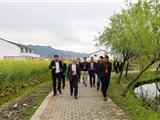 龙港如何实现全域美如画 市政协开展视察助力乡村振兴示范带建设
