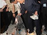 人民日报评论员文章：紧急行动起来