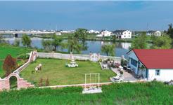 “网红”书记陈增旺：把流量变“留量” 带领居民唱响致富经