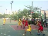 龙港四学校获2014年苍南县中小学生篮球赛第一