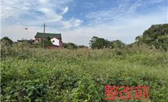 唤醒沉睡的80亩！龙港这片荒地“重启”成功，将变身全能“服务圈”