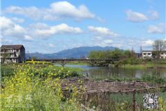 龙港网3月31日讯：碧海蓝天下，春风徐徐里，花红柳绿，草长莺飞。亲们，趁着明媚阳光，让我们和春天来个约会吧！背上行囊，踏春去。