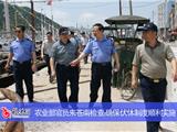 农业部官员来苍南检查：确保伏休制度顺利实施