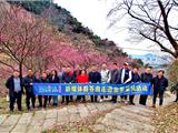 浙里好玩！六百年金乡卫 感受千年古镇气息－新媒体看苍南走进金乡采风活动