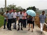 市环保局来龙港督查指导创建省级生态镇的工作