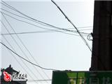 电缆被货车拉断掉入居民家