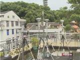 苍南：环保出成效 空气优良率创新高