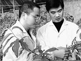 文化观察：回乡创业，大学毕业生新选择