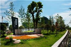 龙港中对口村高清图集