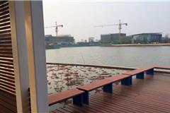 龙港新城休闲活动户外中心-月湖公园