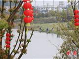 闲来垂钓月湖上，天光云影共徘徊