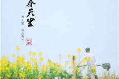 龙港外滩《春天里》——摄影董学风