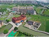 浙派古琴宗師郭楚望