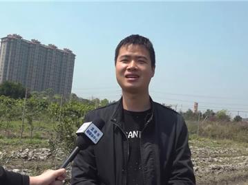 龙港美丽田园丨我心目中的美丽田园