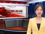 省人大常委会关于新设立的龙港市人民代表大会若干问题的决定
