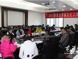 龙港镇召开2013年度文化工作总结暨表彰会议