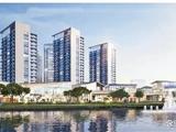 龙港市城市建设发展有限公司 砥砺奋进促蝶变 高质量发展开新篇